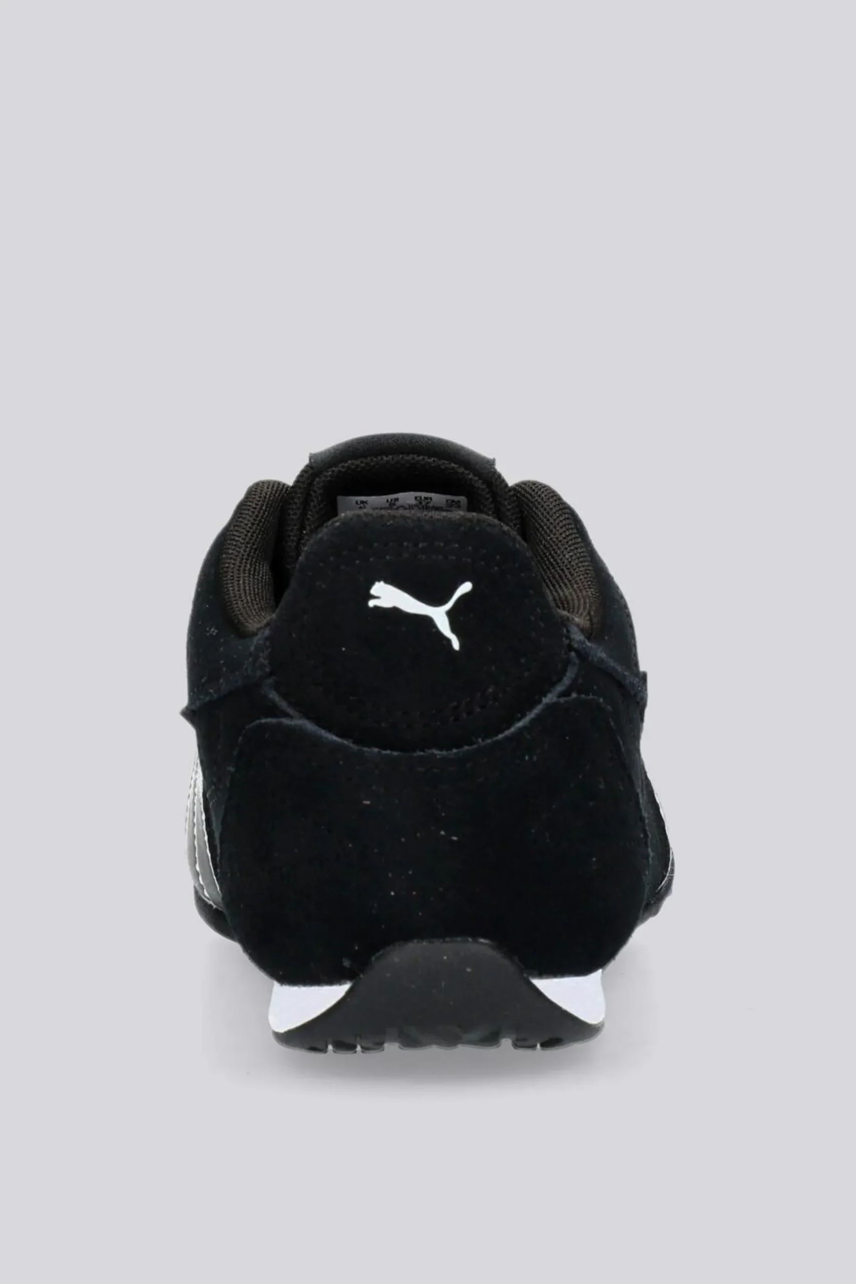 Puma Catch