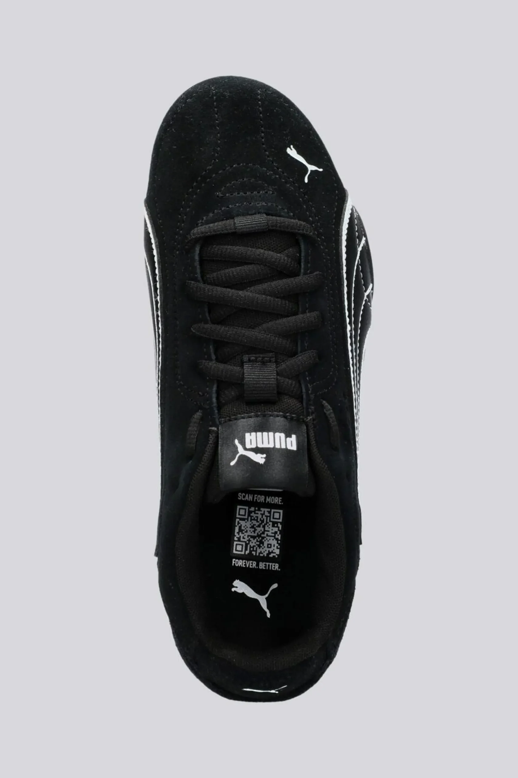 Puma Catch
