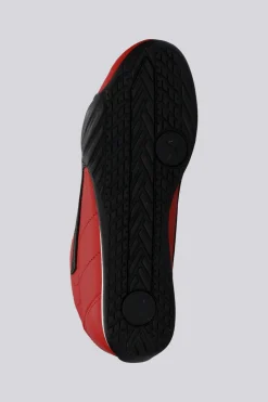 Puma Catch