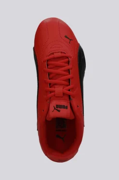 Puma Catch