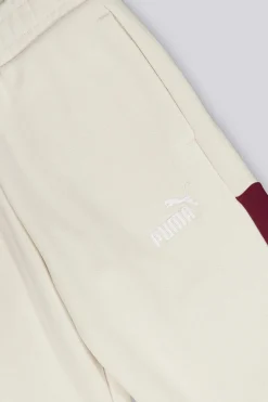 Puma Essentials