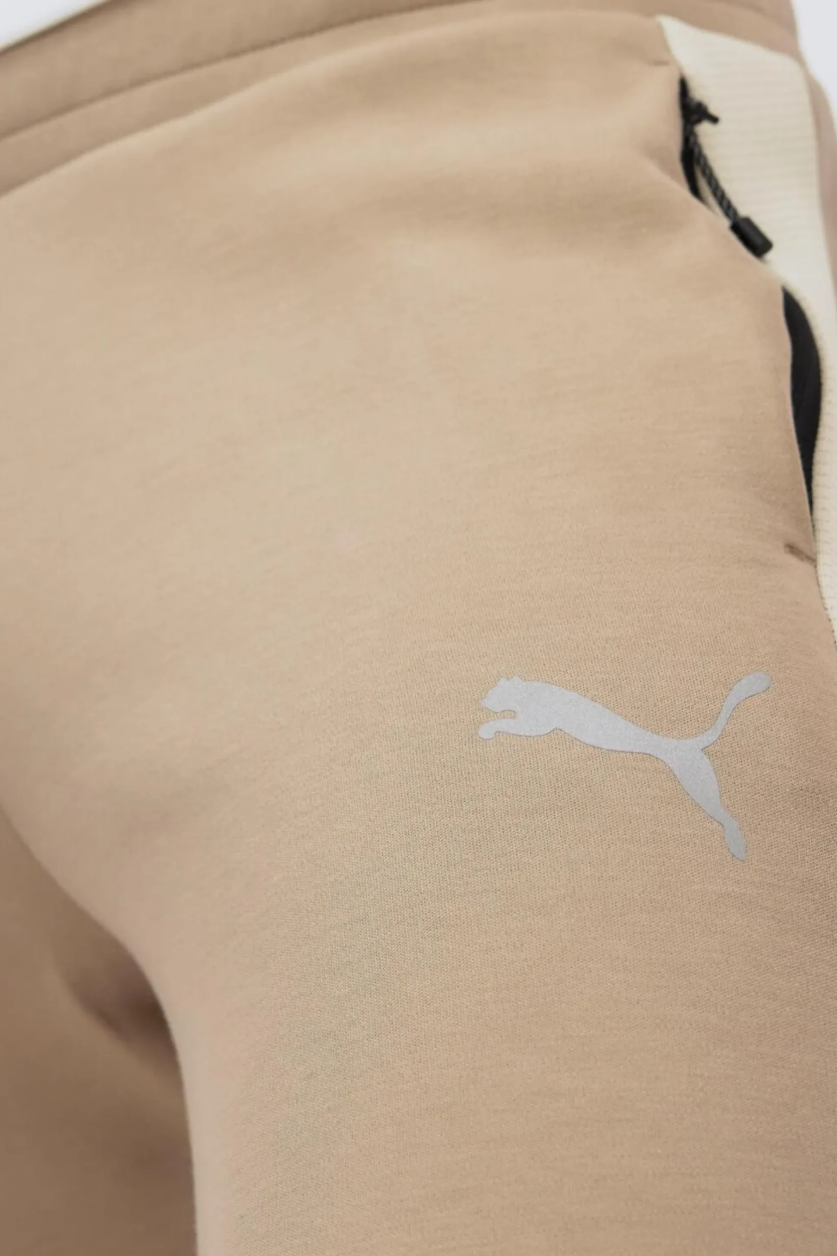Puma Evo