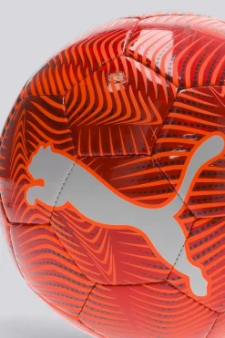 Puma Final Graphic