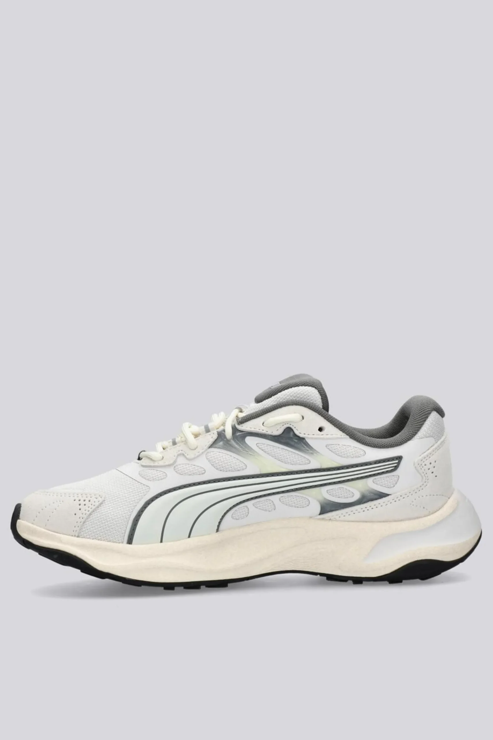 Puma Insphere