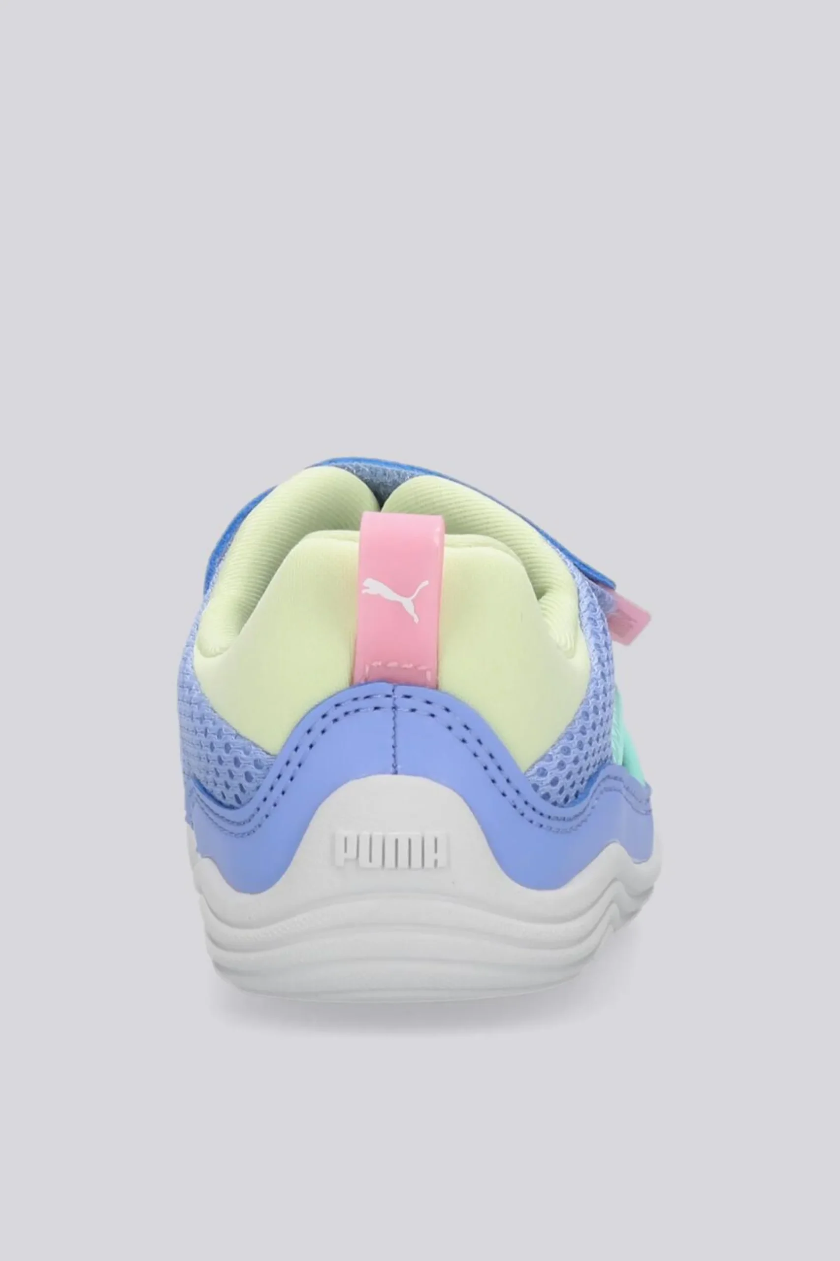 Puma Kitten Summer