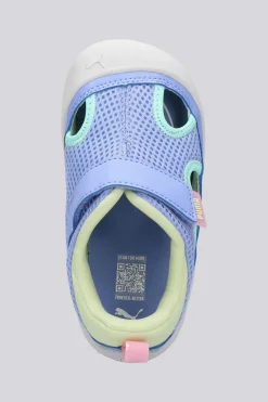 Puma Kitten Summer