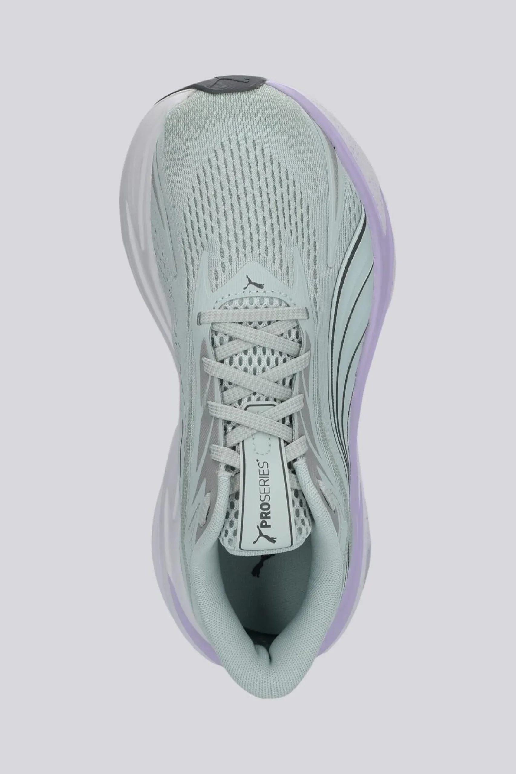 Puma Maxima Pro