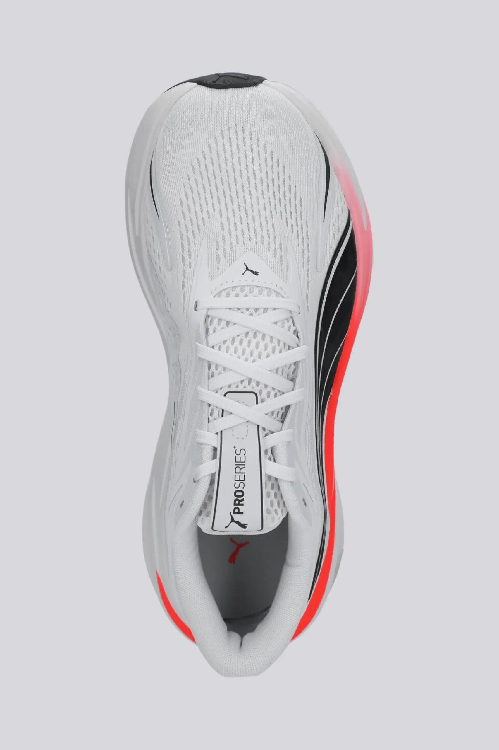 Puma Maxima Pro