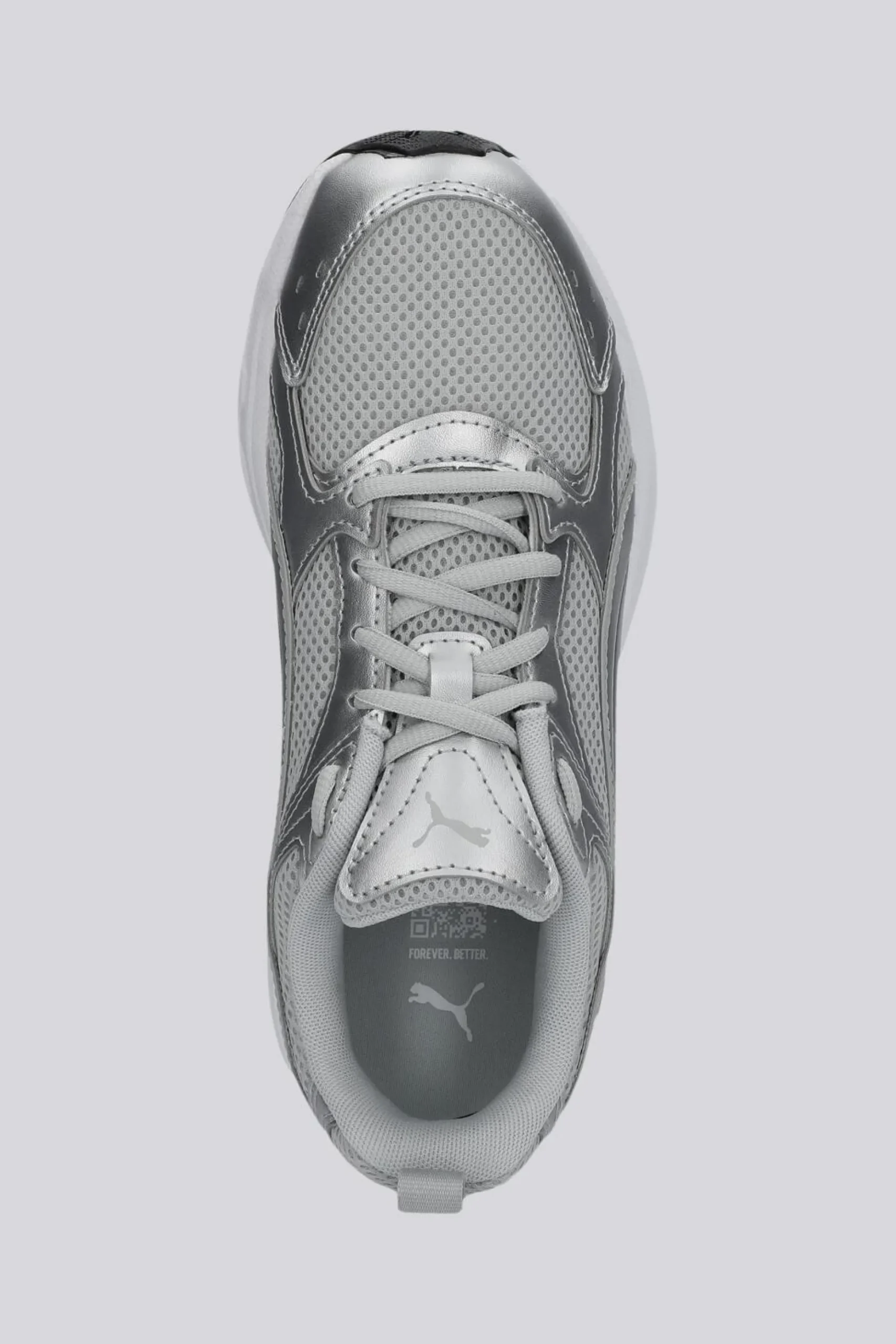 Puma Milenio