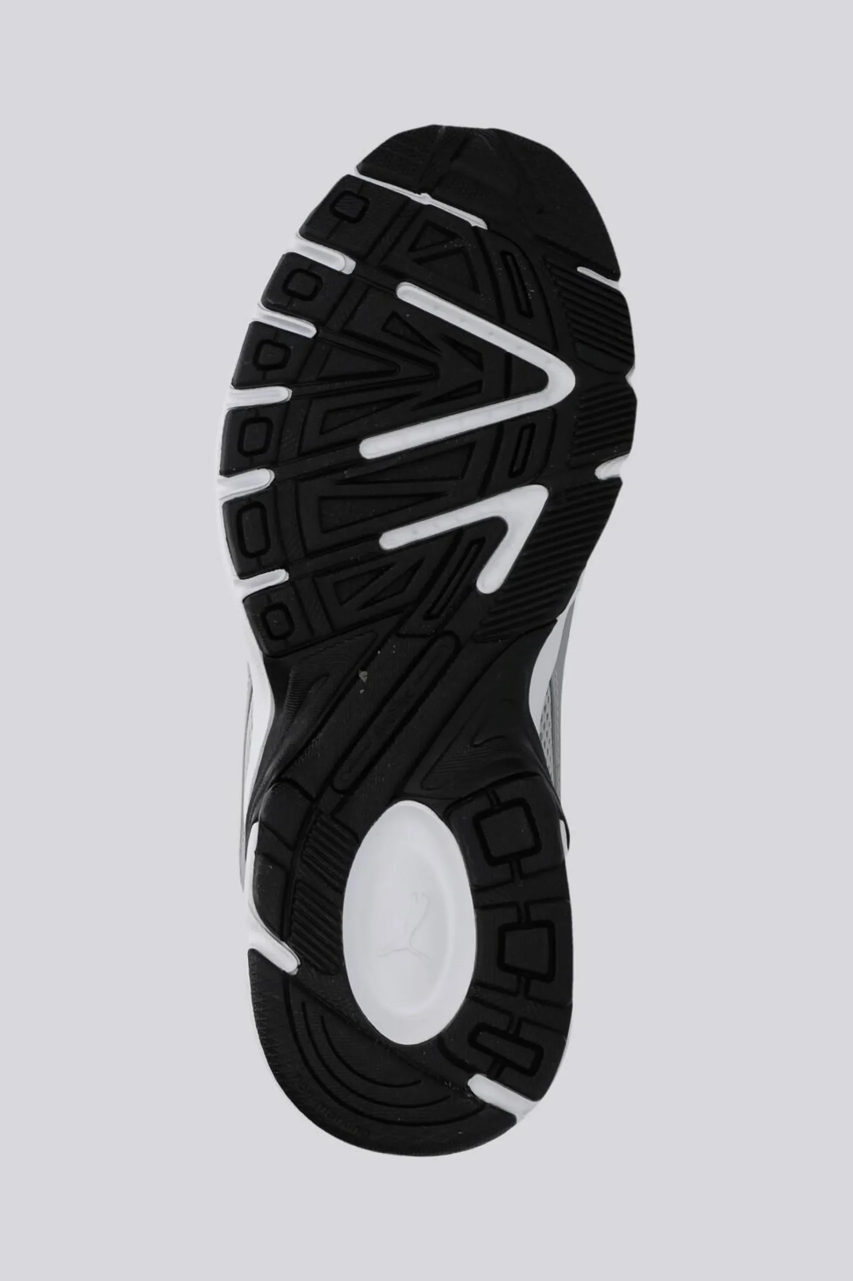 Puma Milenio