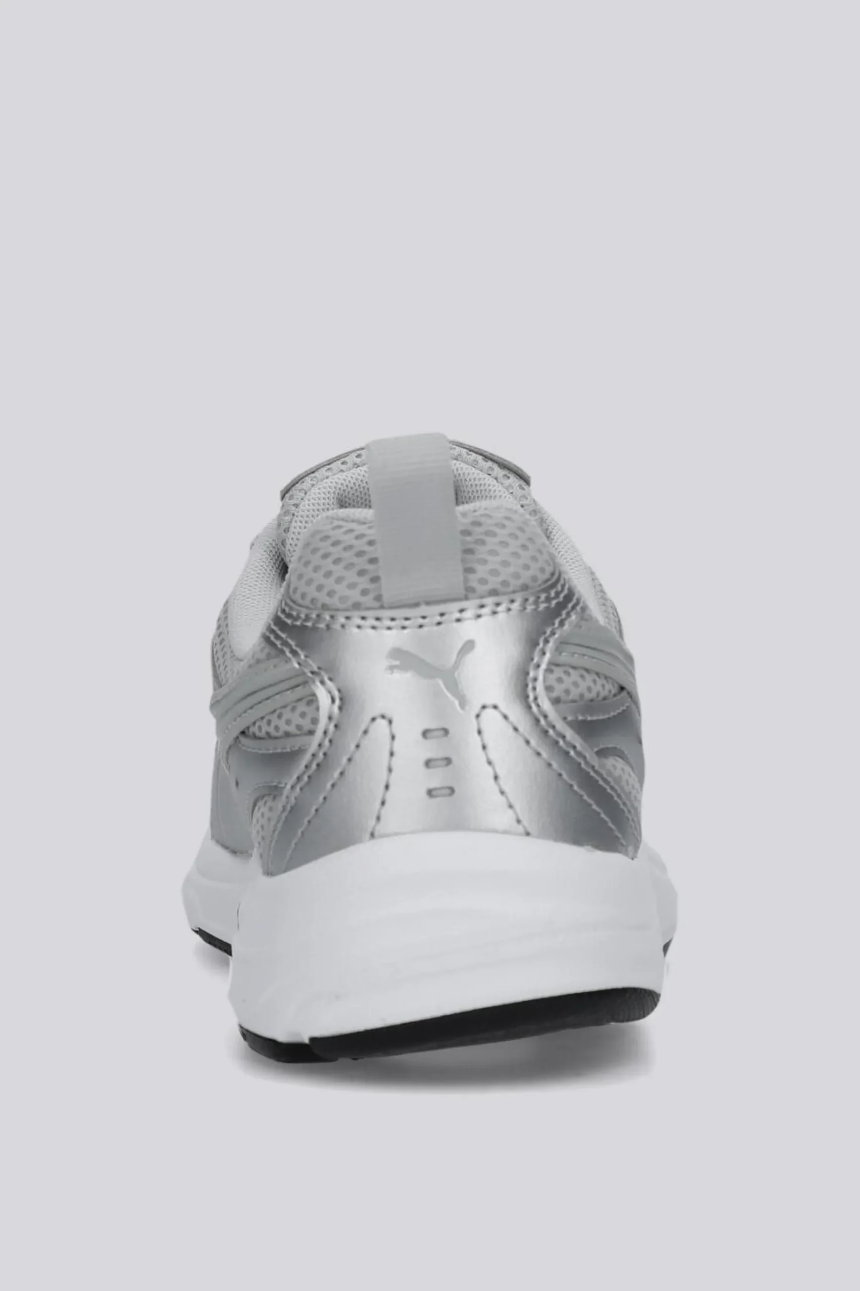 Puma Milenio