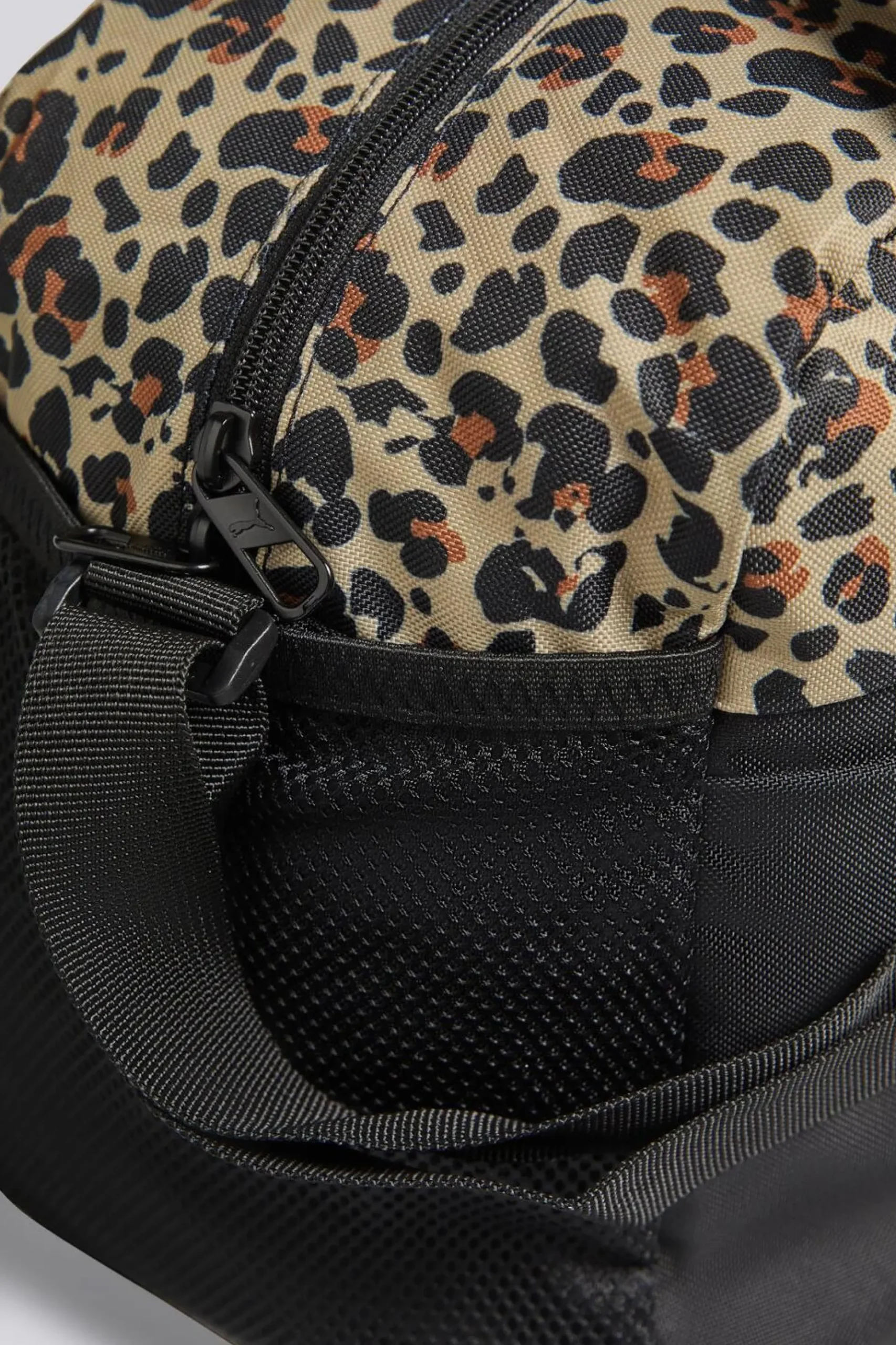 Puma Phase