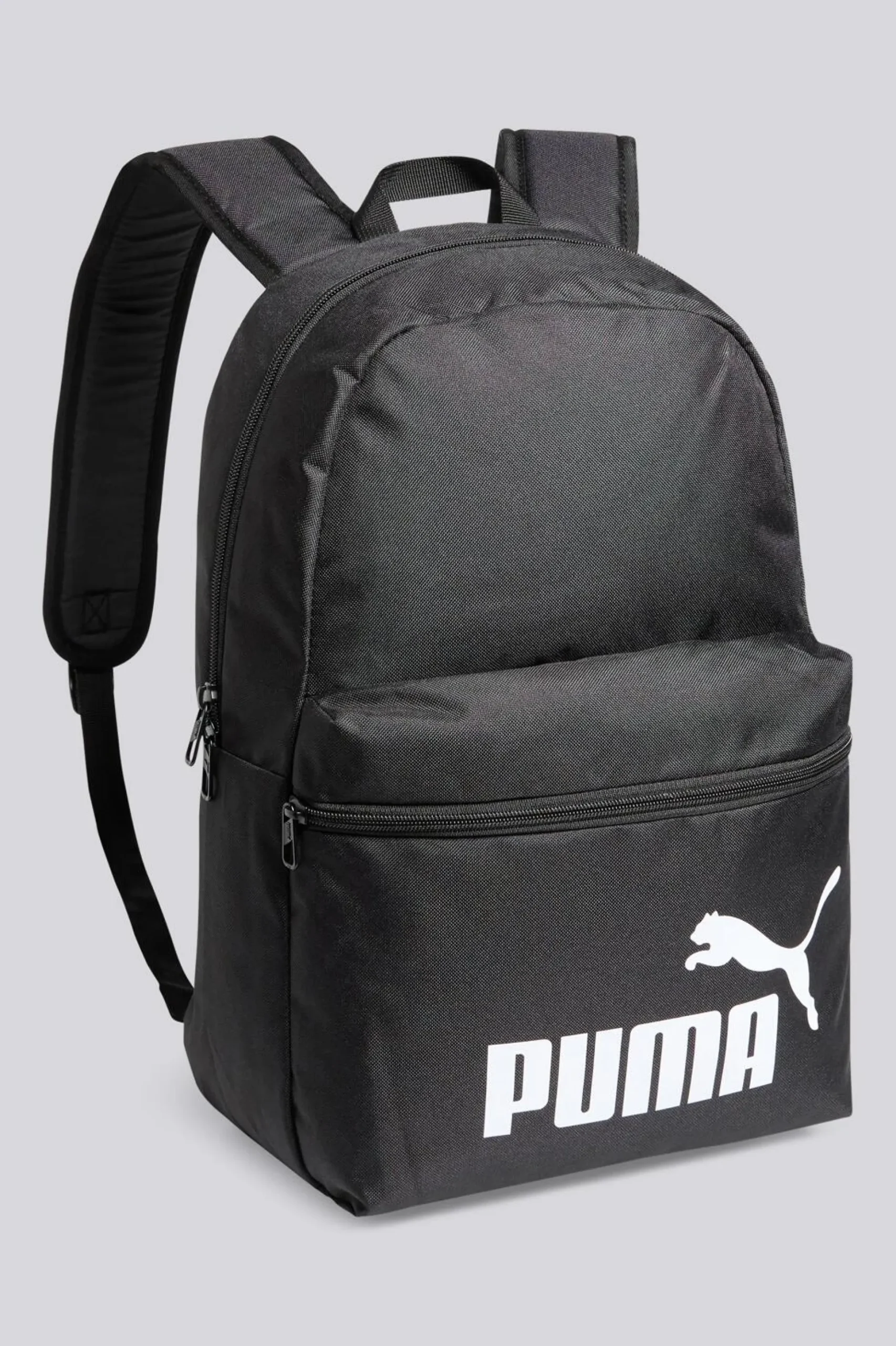 Puma Phase