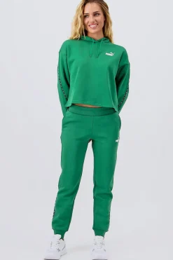 Puma Power