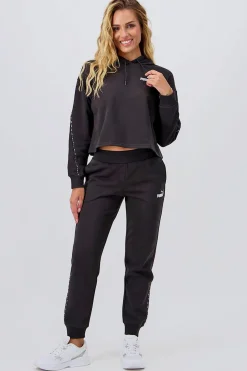 Puma Power