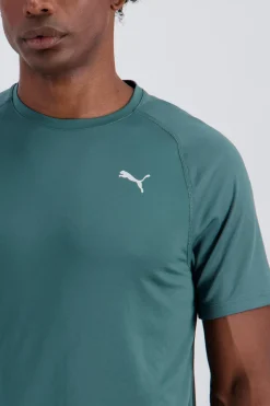 Puma Powertrain