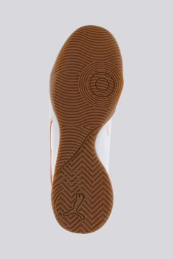 Puma Pressing