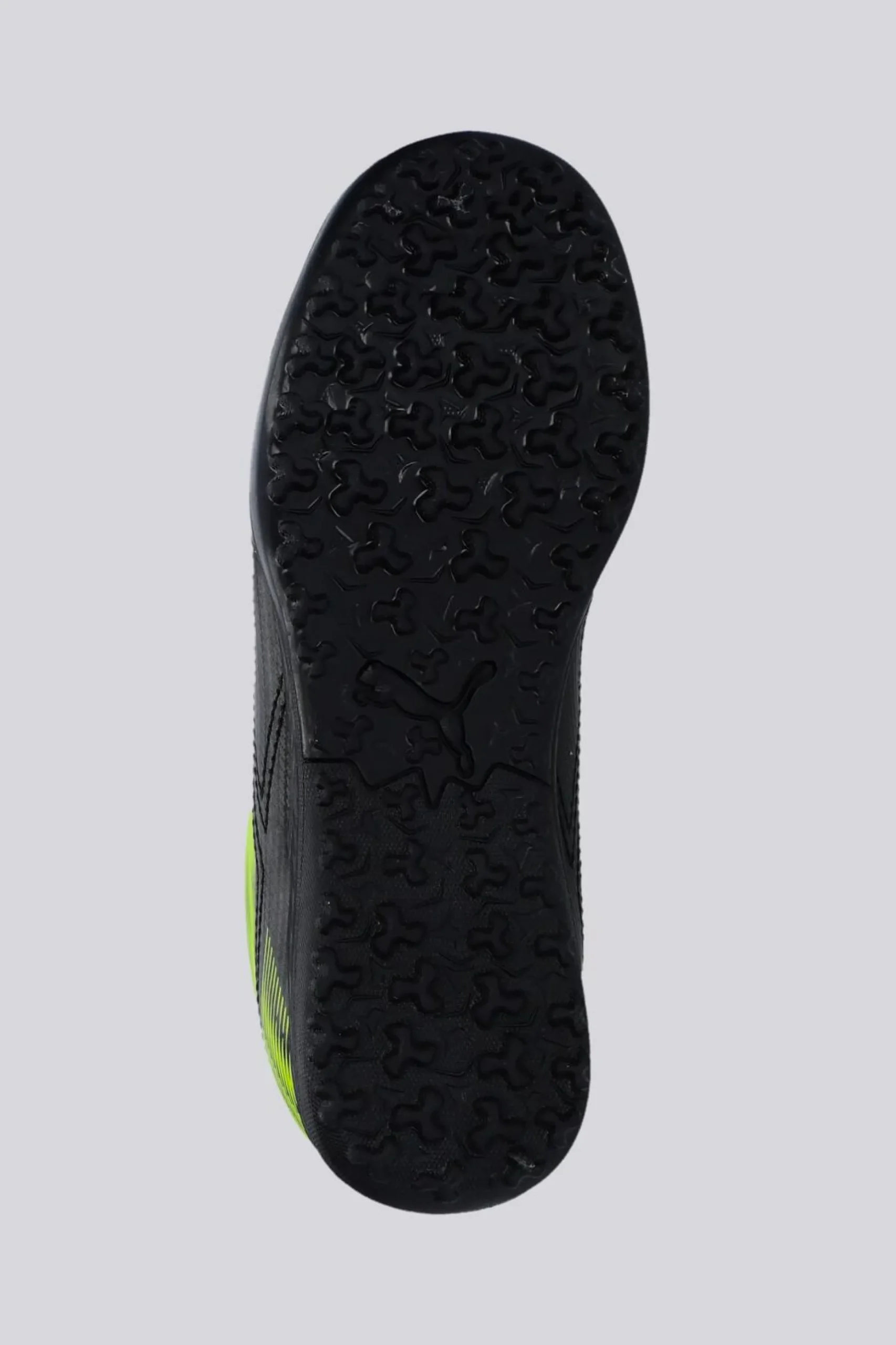 Puma Rapid