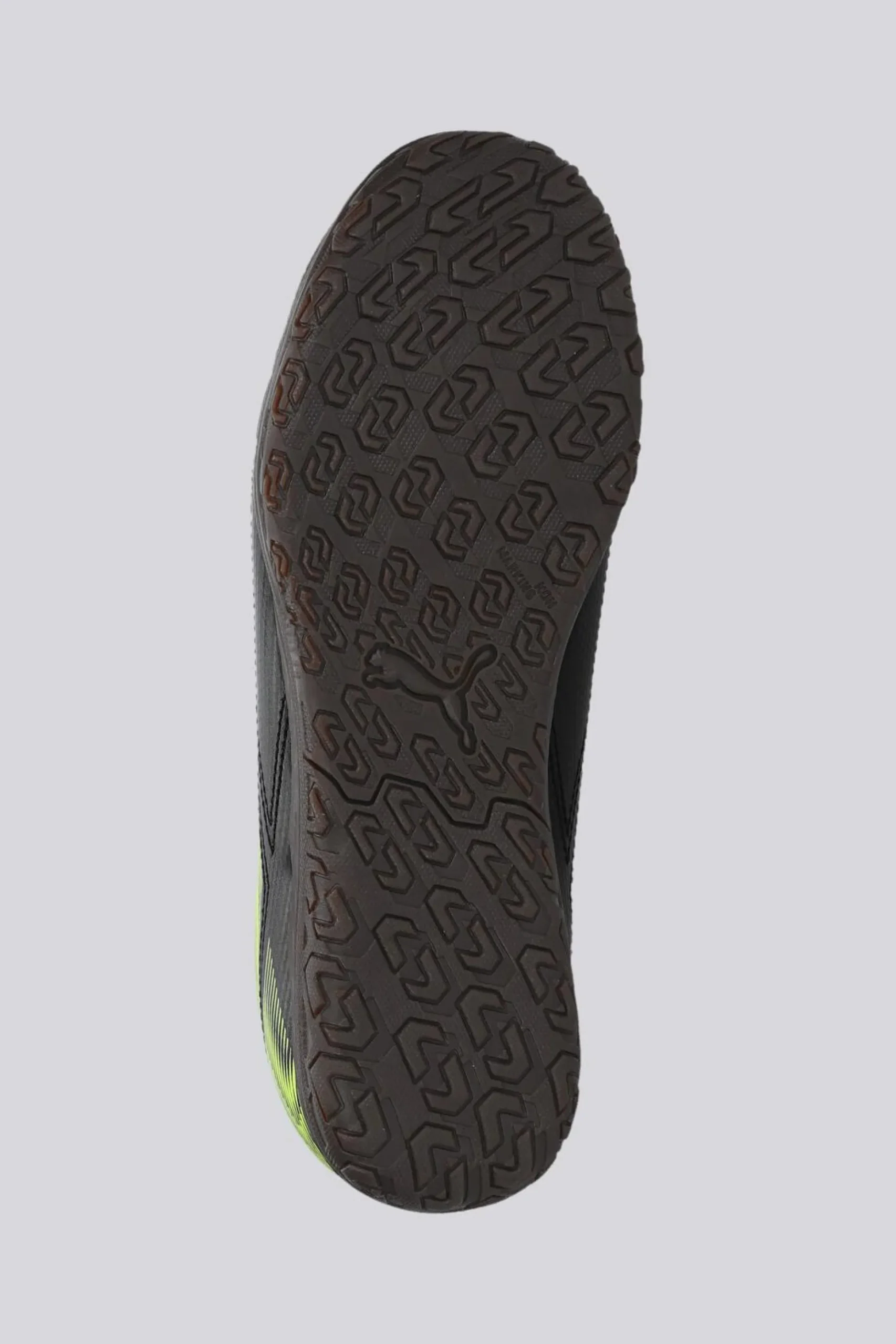Puma Rapid