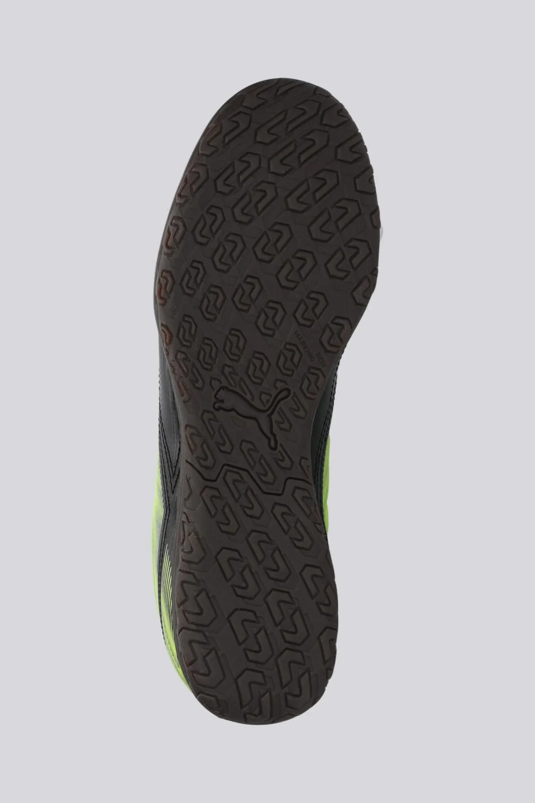 Puma Rapid