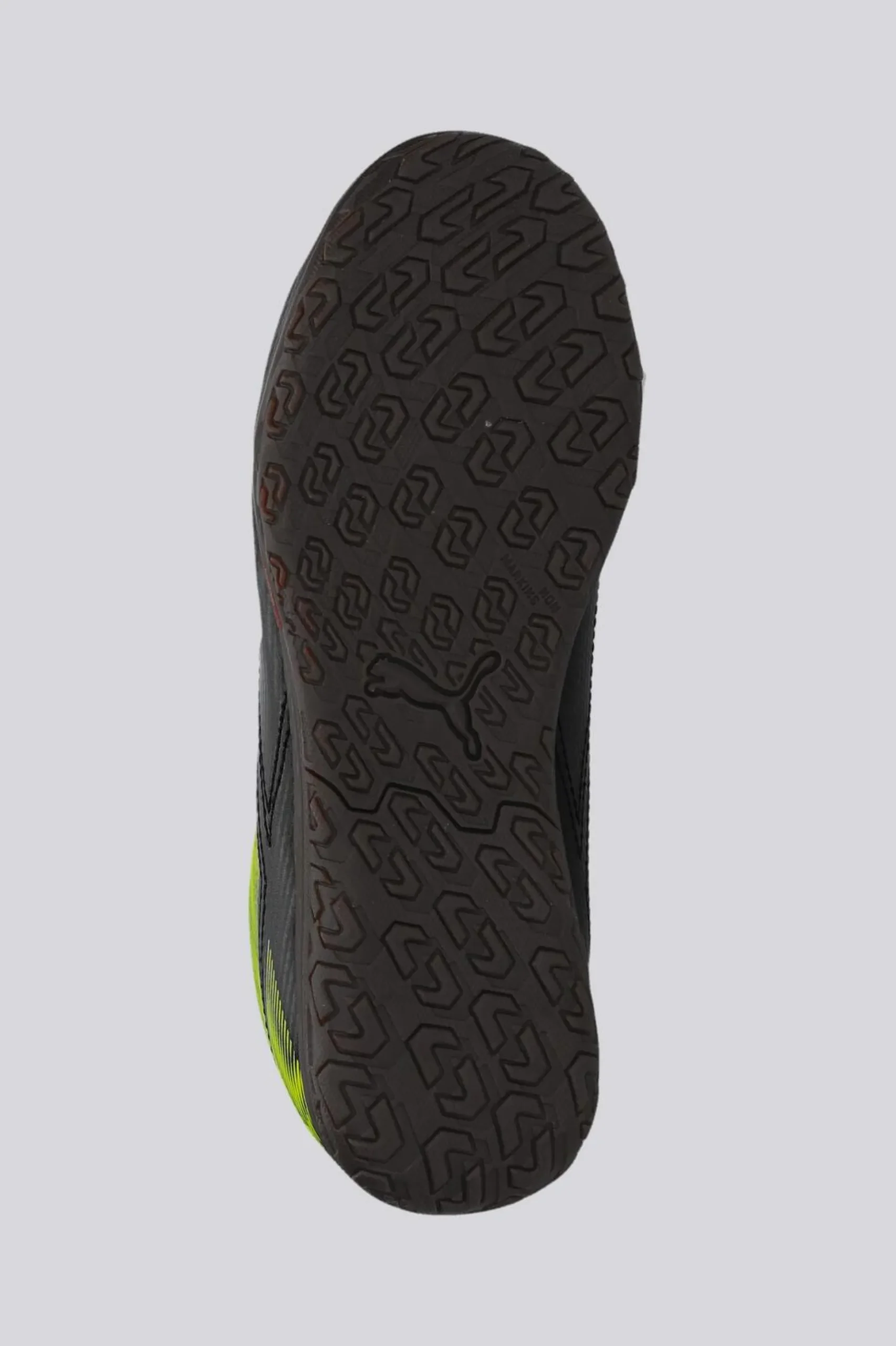 Puma Rapid