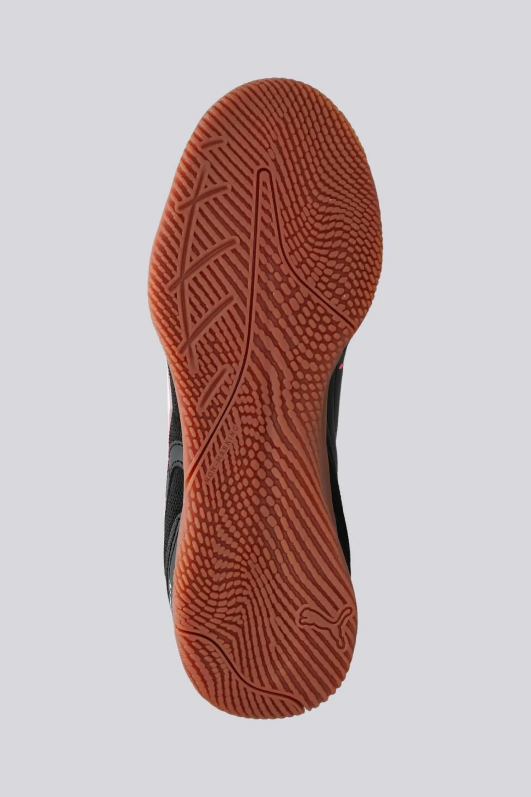Puma Truco