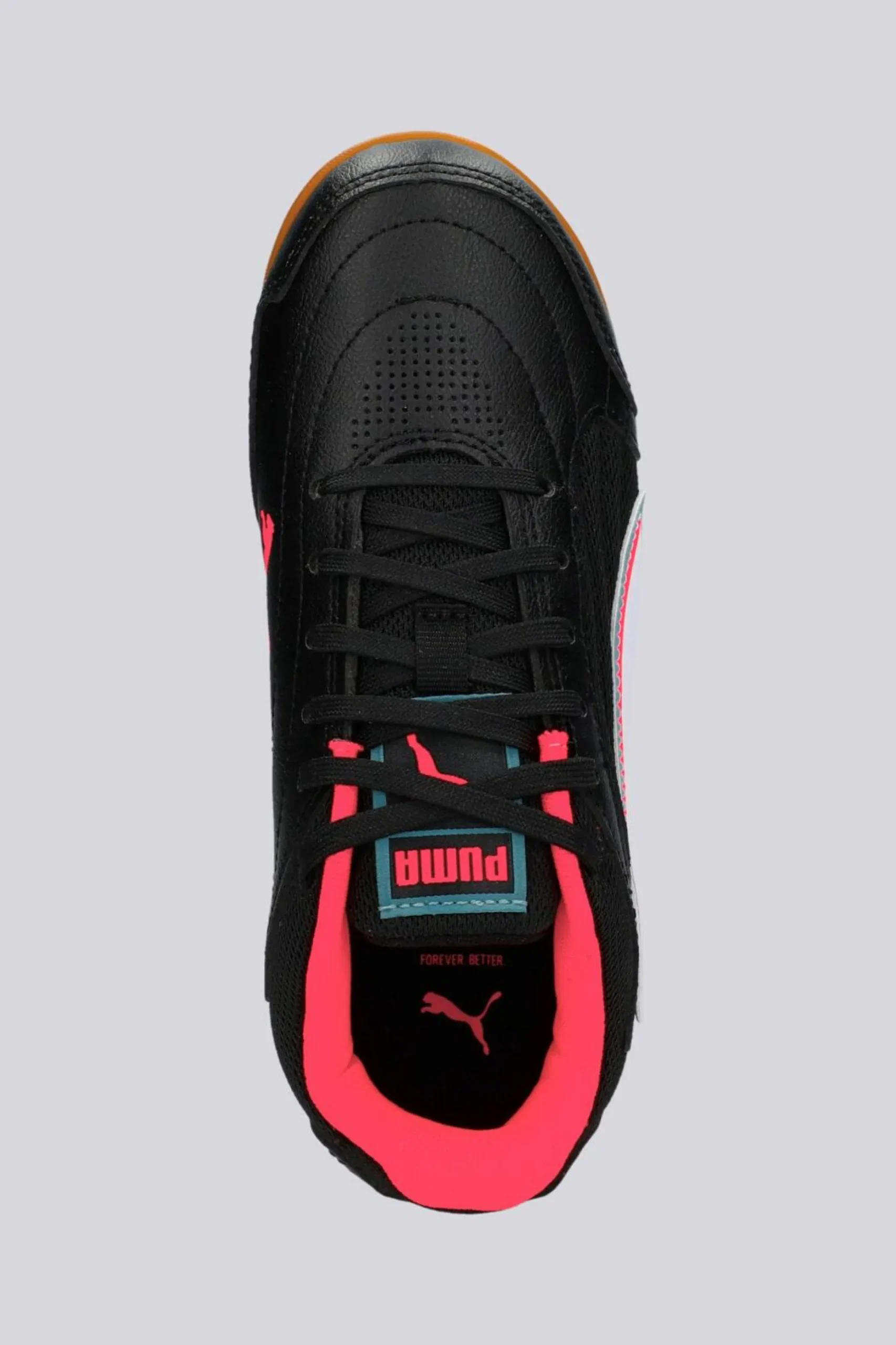 Puma Truco