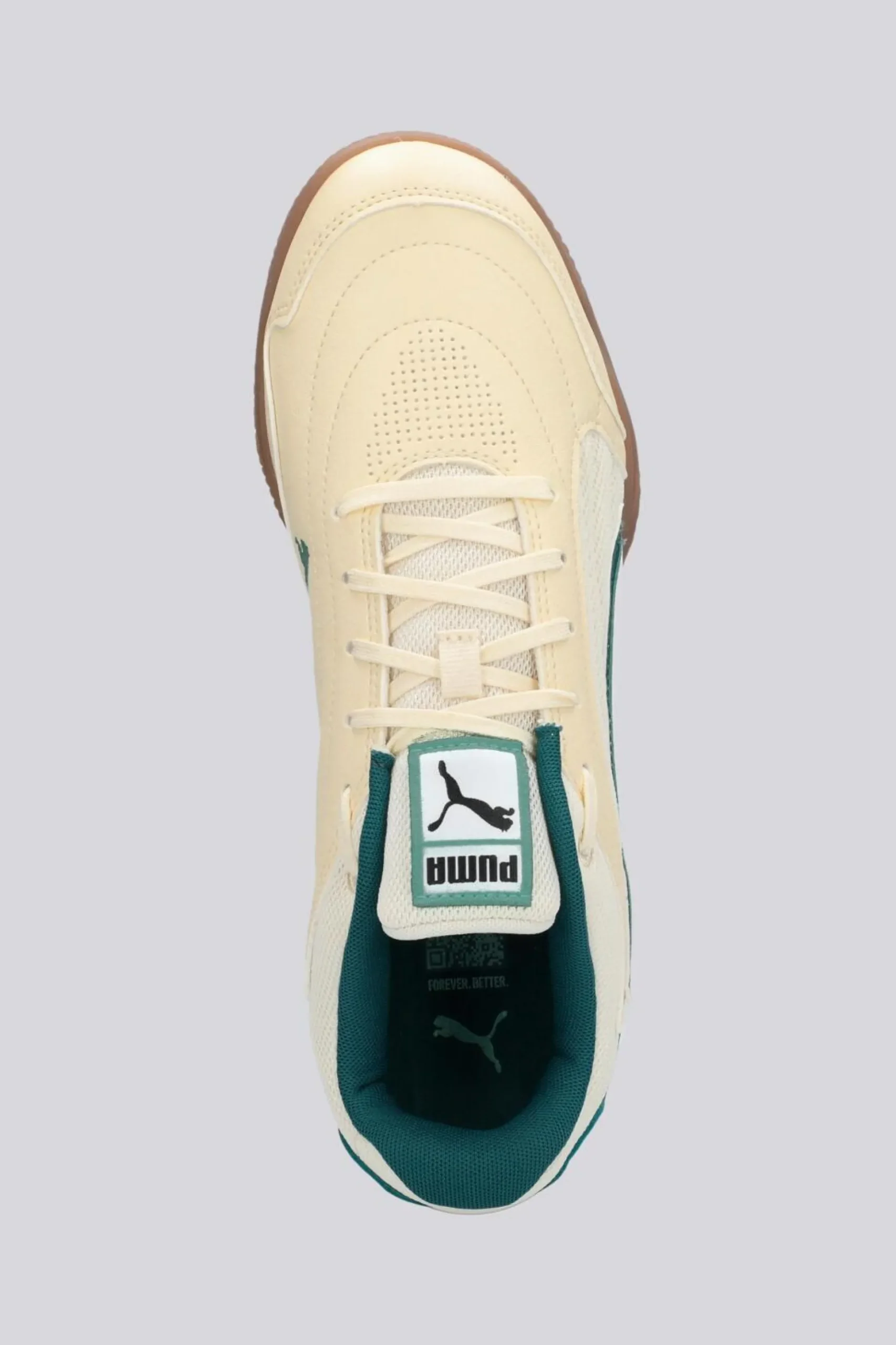 Puma Truco