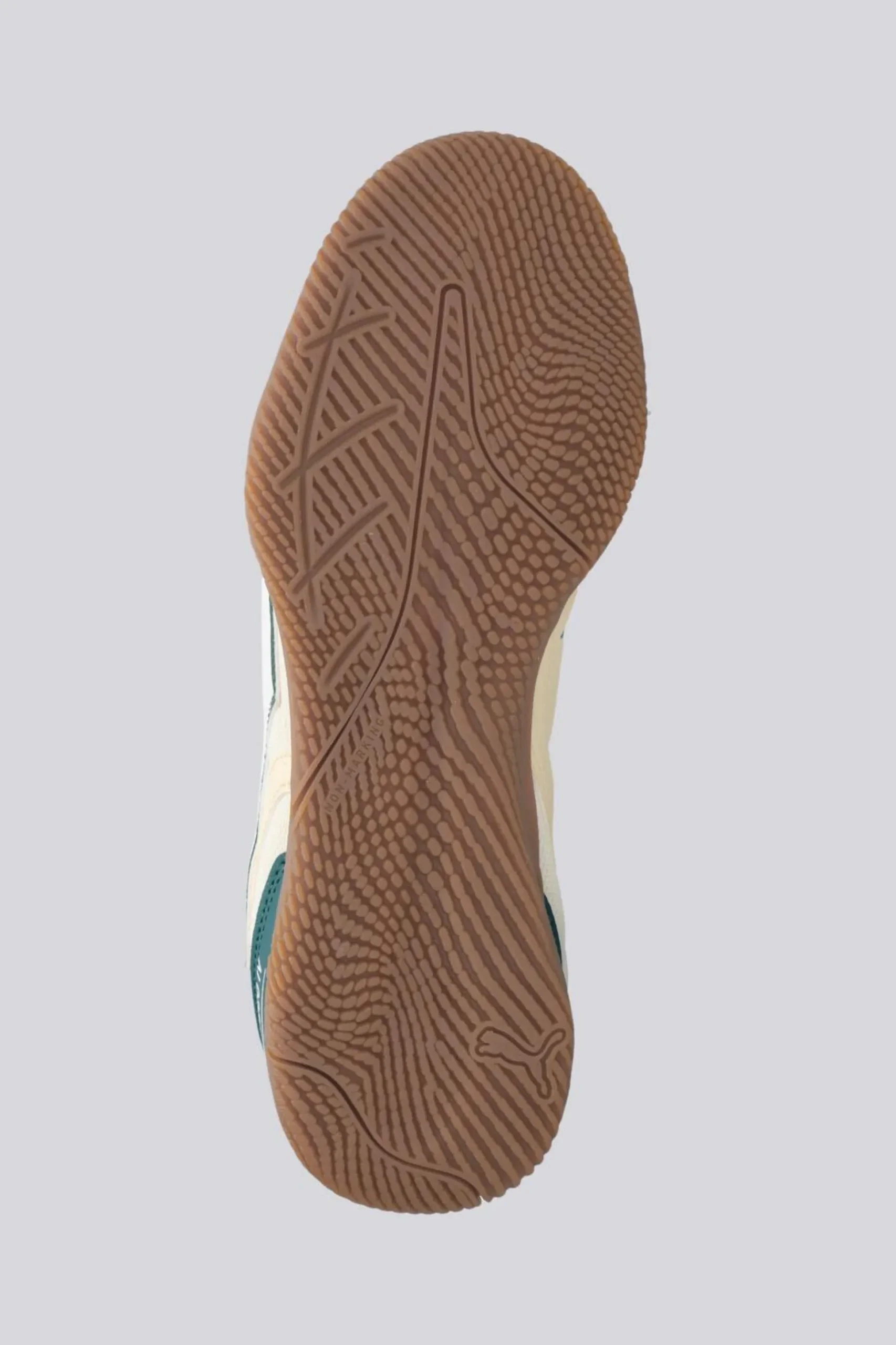 Puma Truco