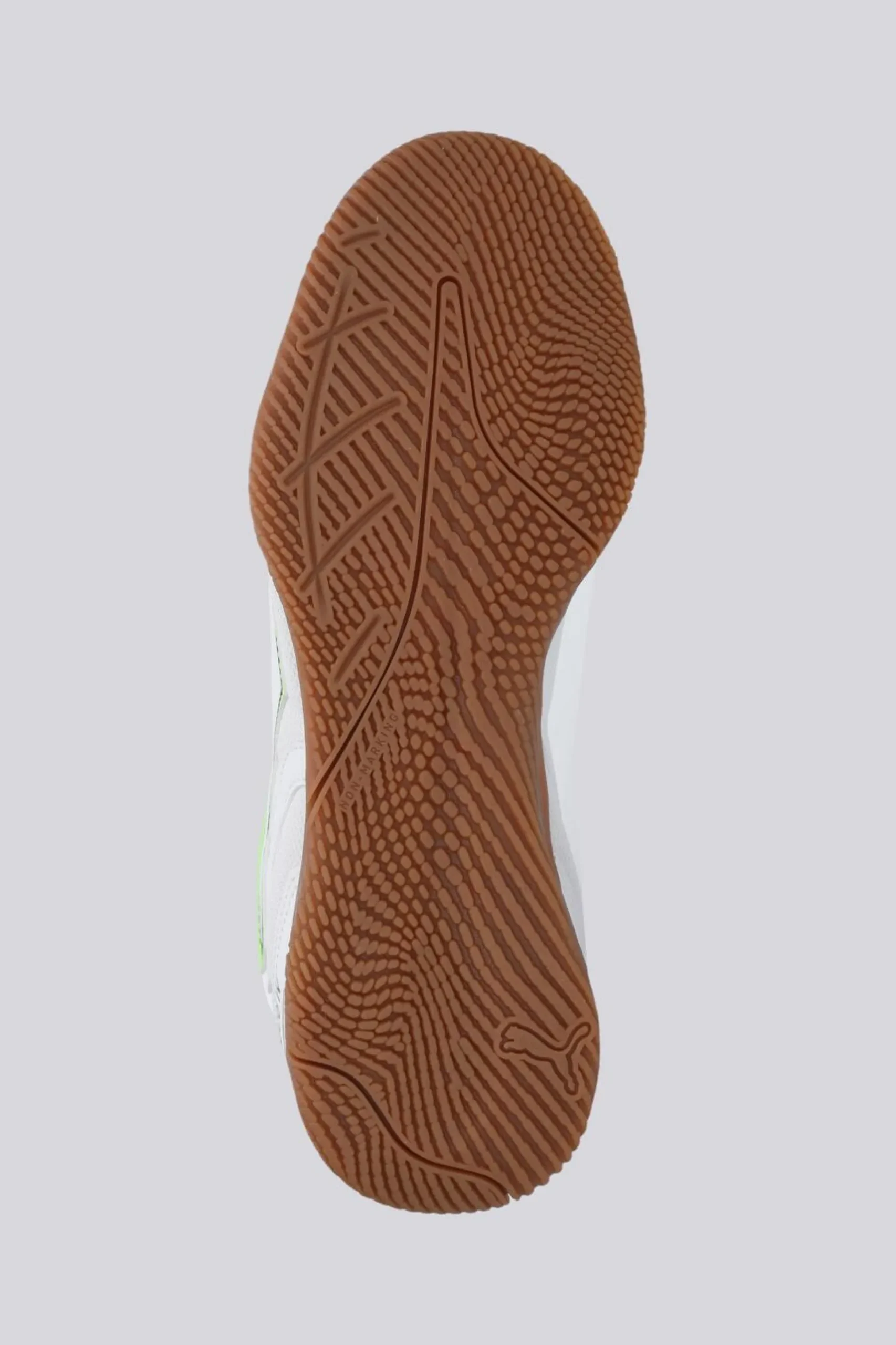 Puma Truco IV