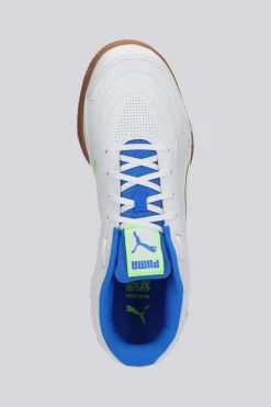 Puma Truco IV