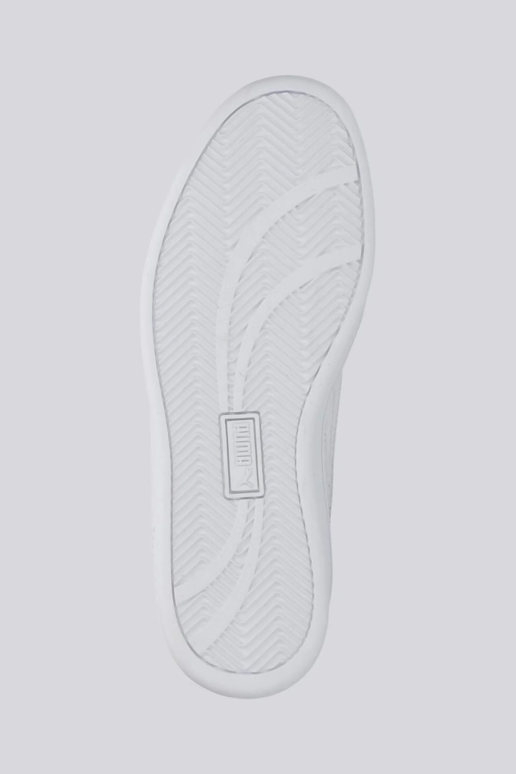 Puma Up