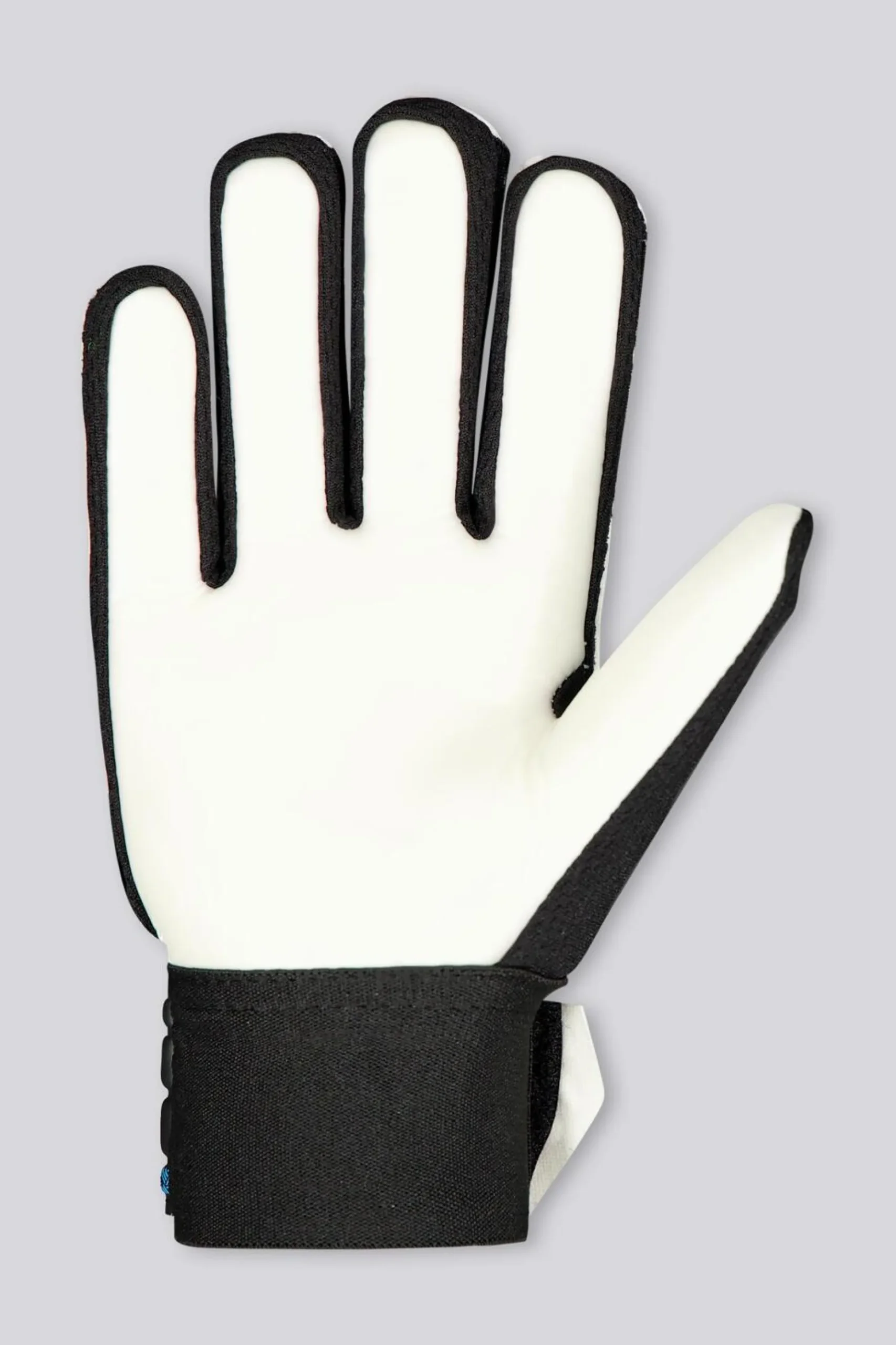 Reusch Attrakt Starter Solid