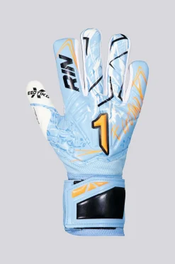 Rinat Egotiko X Training