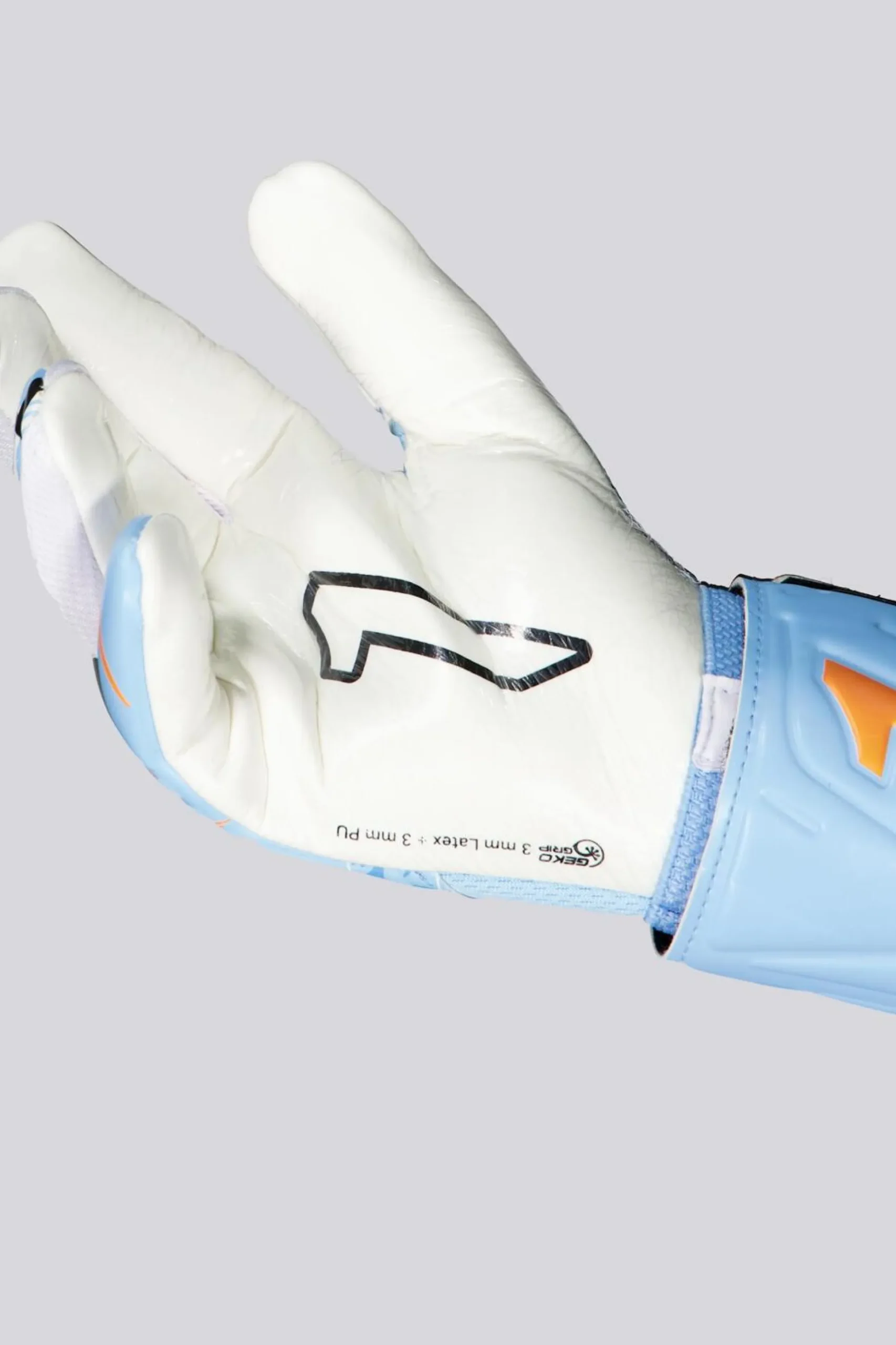 Rinat Egotiko X Training