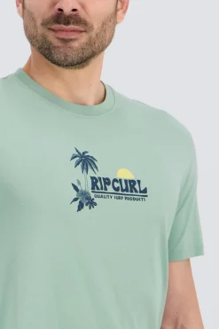 Rip Curl Palm Logo