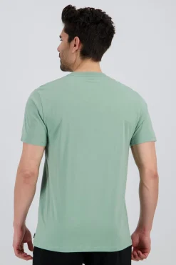 Rip Curl Palm Logo