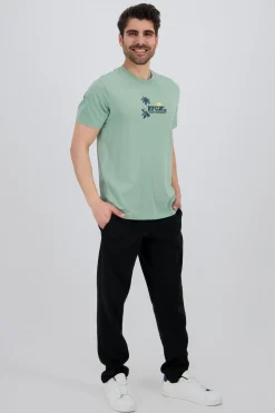 Rip Curl Palm Logo