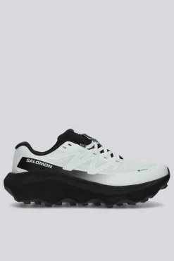 Salomon Ultra Flow 2 Gtx