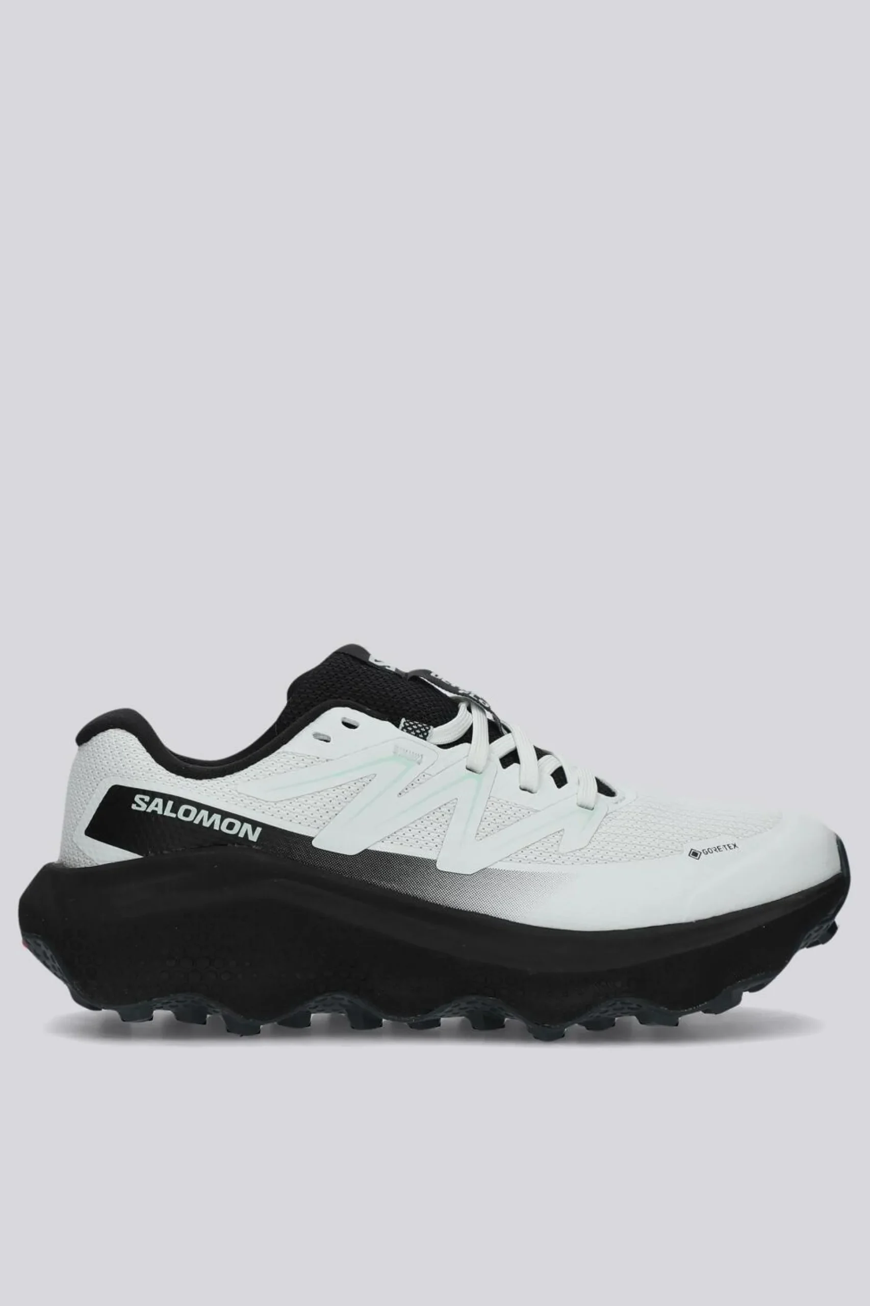 Salomon Ultra Flow 2 Gtx