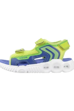 Sandalias Niño Geox J Sandal Wroom Boy