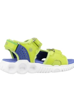 Sandalias Niño Geox J Sandal Wroom Boy
