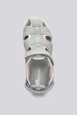Silver Flecha
