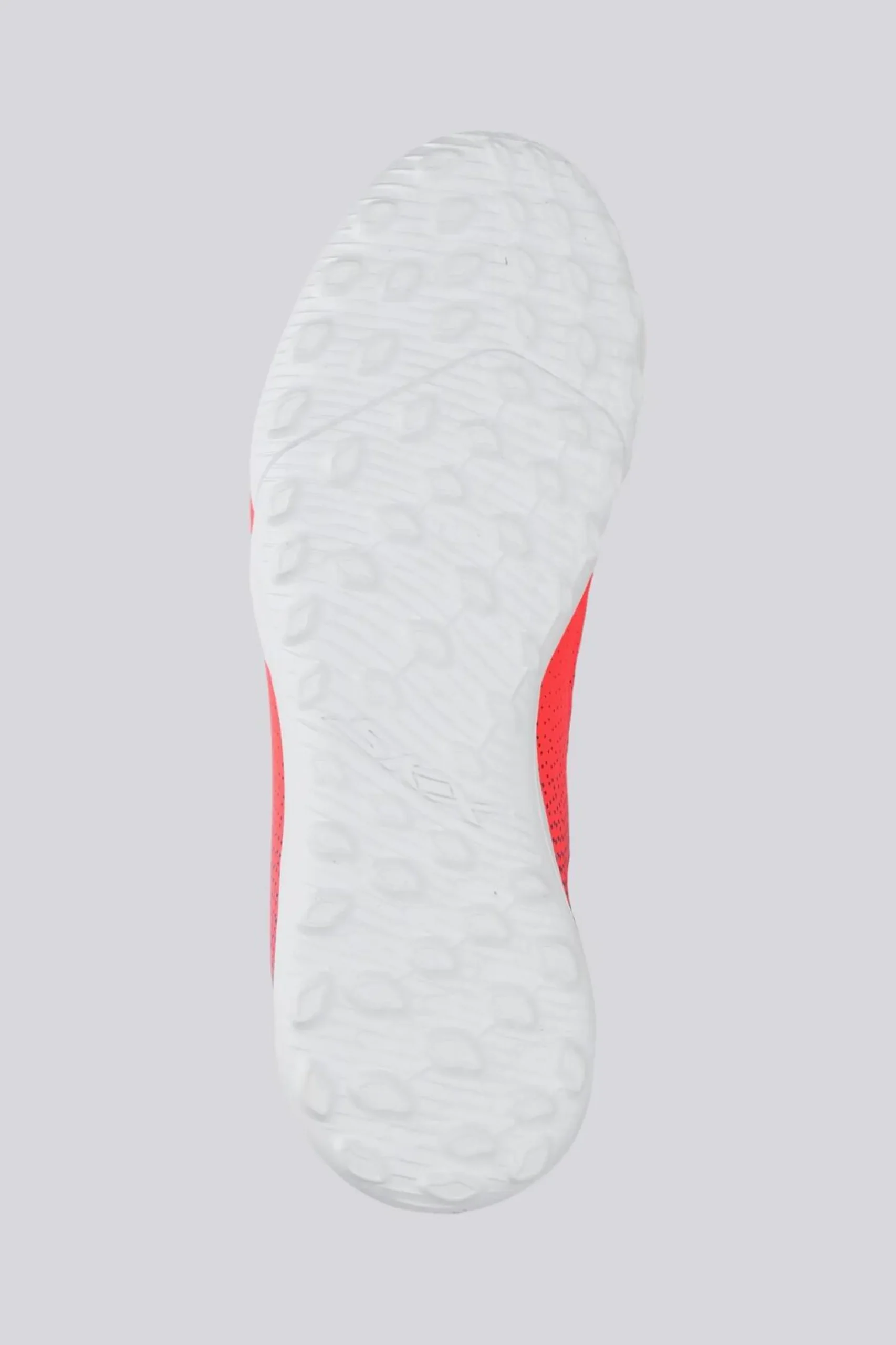 Skechers Skx 2