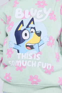 Sudadera Capucha Bluey
