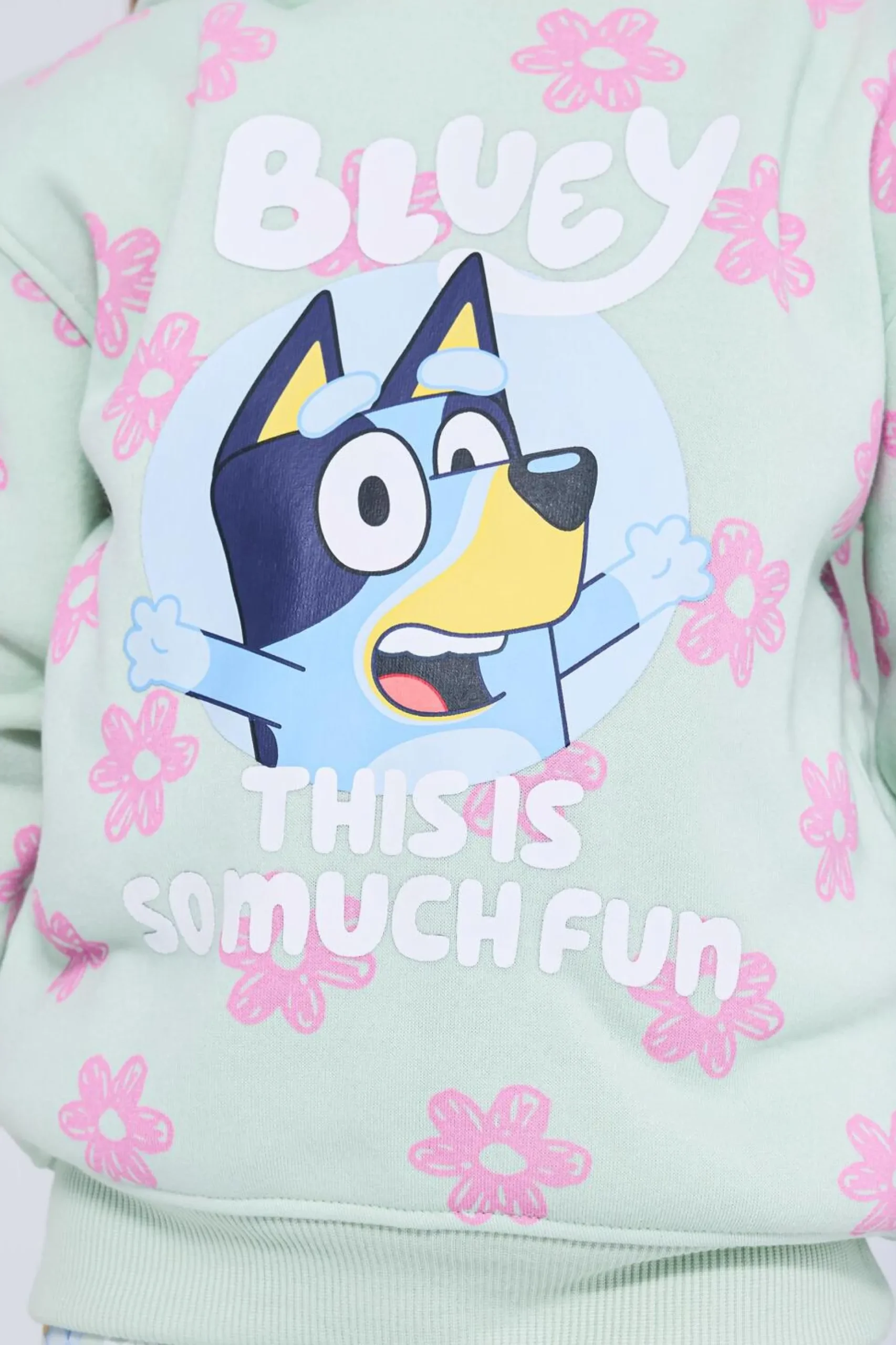 Sudadera Capucha Bluey