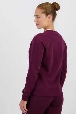 Sudadera Capucha Champion
