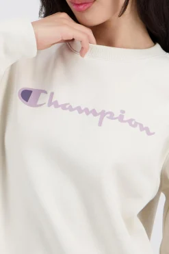 Sudadera Capucha Champion