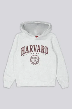 Sudadera Capucha Harvard