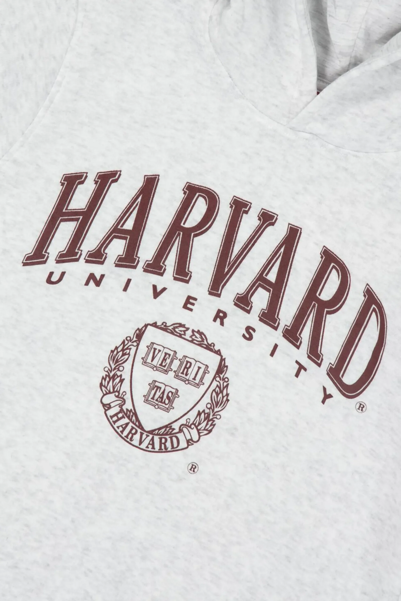 Sudadera Capucha Harvard